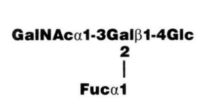 NMR spectra