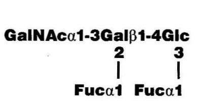 NMR spectra