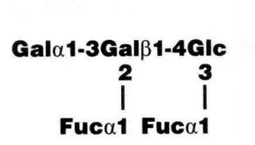 NMR spectra