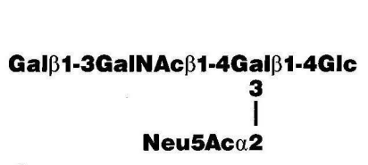 NMR spectra