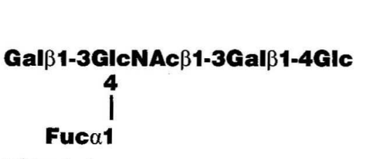 NMR spectra