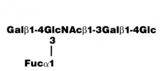 NMR spectra