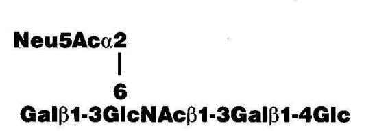 NMR spectra