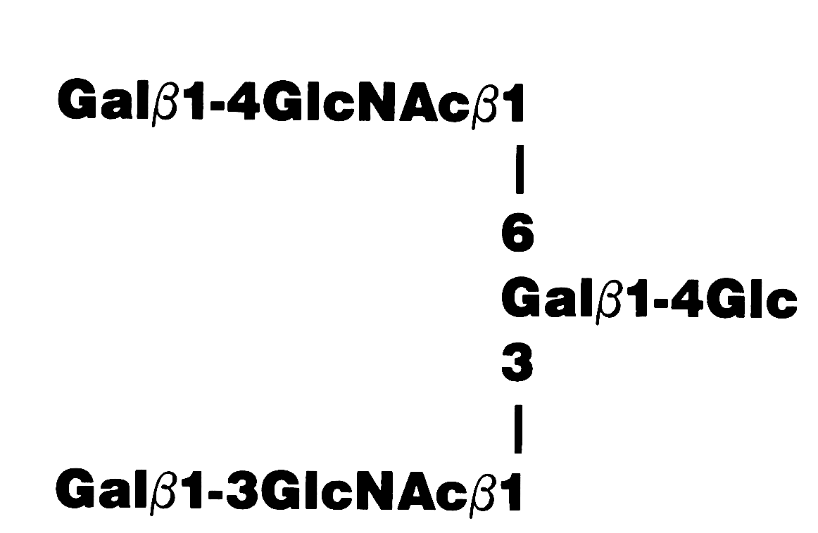 NMR spectra