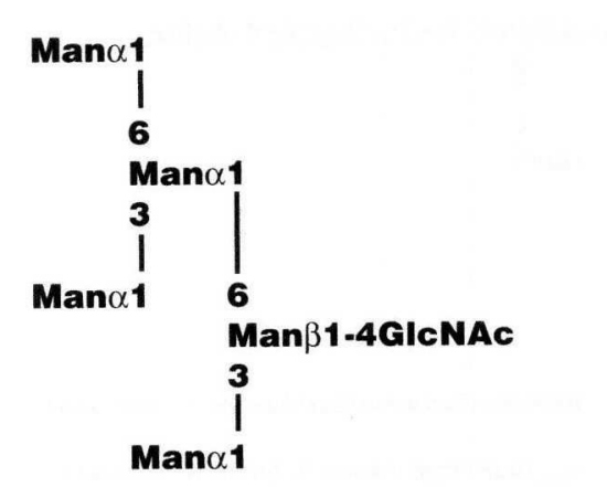 NMR spectra