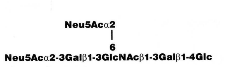 NMR spectra