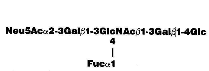 NMR spectra