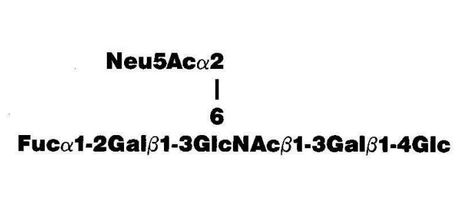 NMR spectra