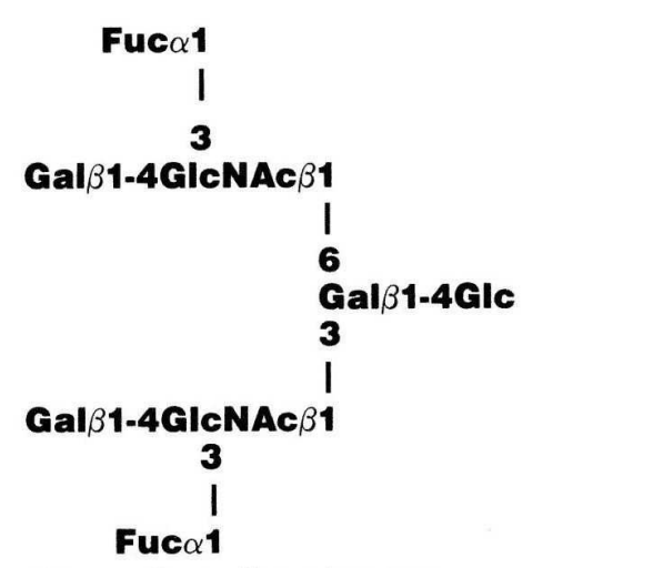 NMR spectra