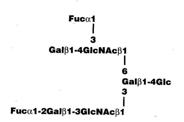 NMR spectra