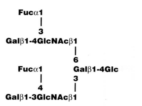 NMR spectra