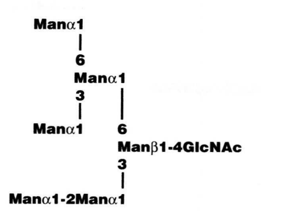 NMR spectra