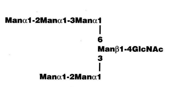 NMR spectra