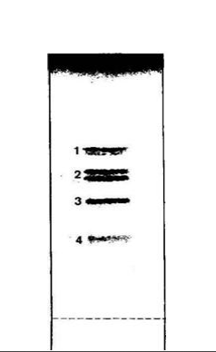 NMR spectra